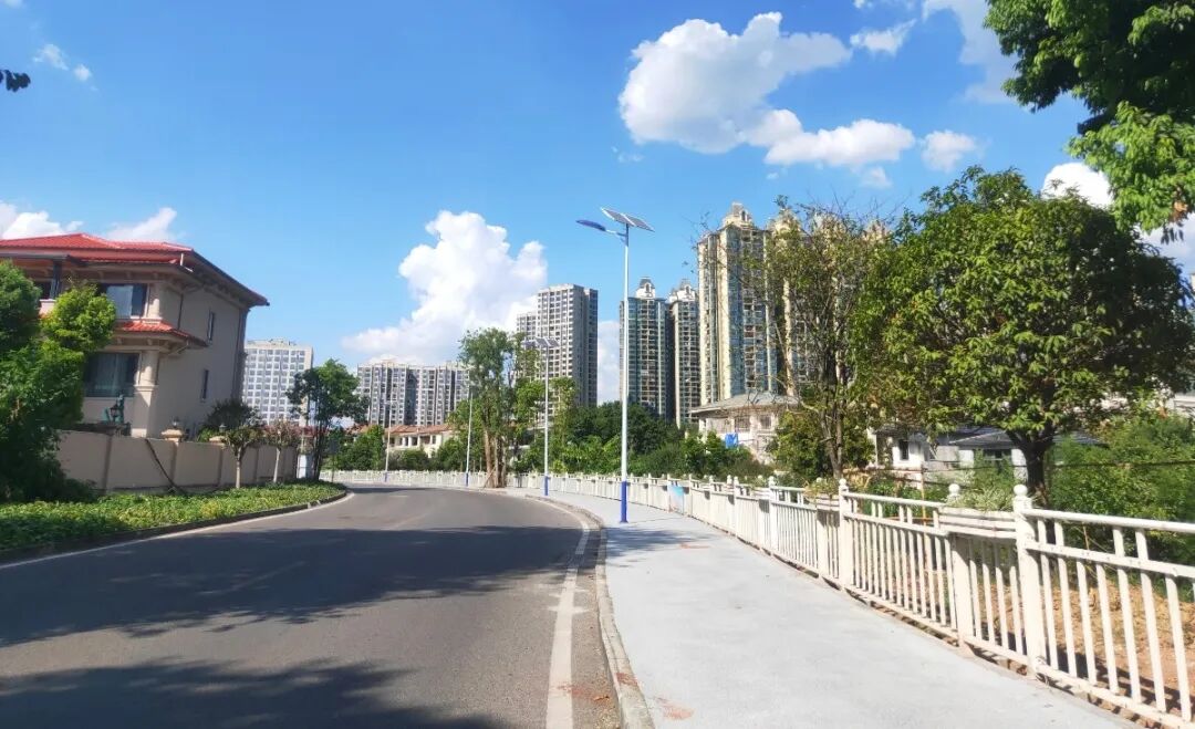 双福街道：一条人行道的“变身记”——看人大代表如何把“揪心路”变成“连心道”2