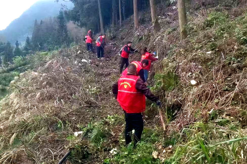 四屏镇人大：代表履职践初心 志愿服务护青山1