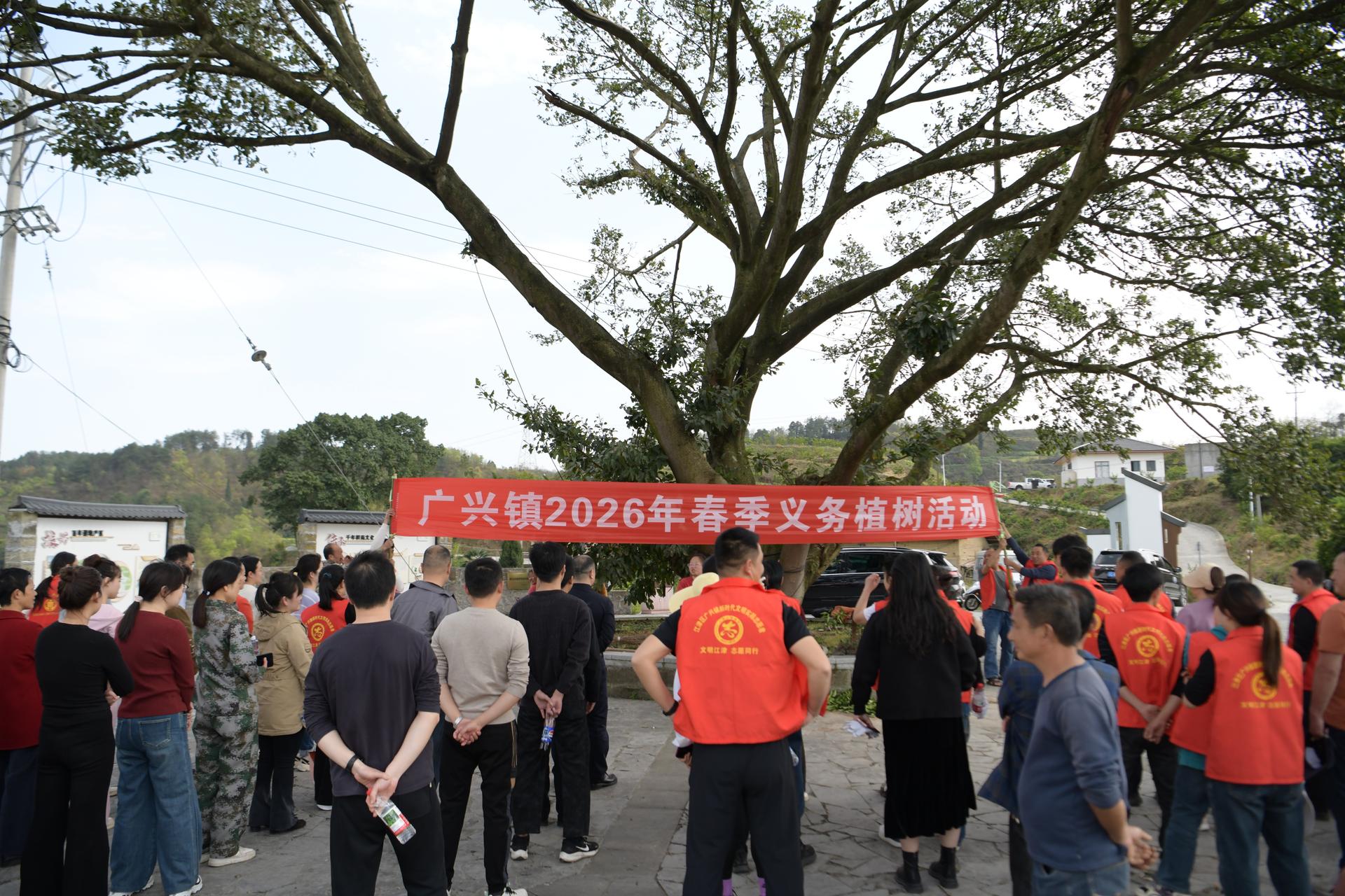 植下“致富树” 添绿又增收——广兴镇人大组织开展植树节活动2.JPG