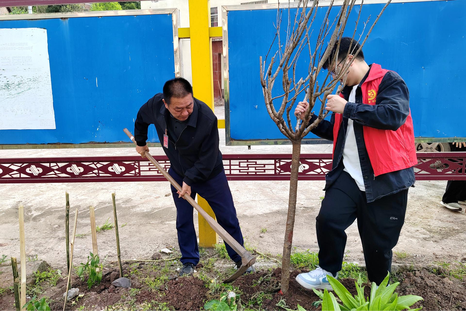 永兴镇人大:挥锹播绿意 履职践初心1