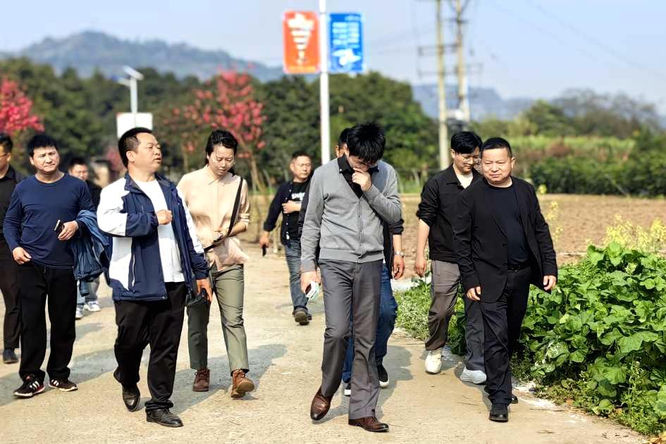 石蟆镇人大：搭台问计聚民智 农文旅融合促发展2