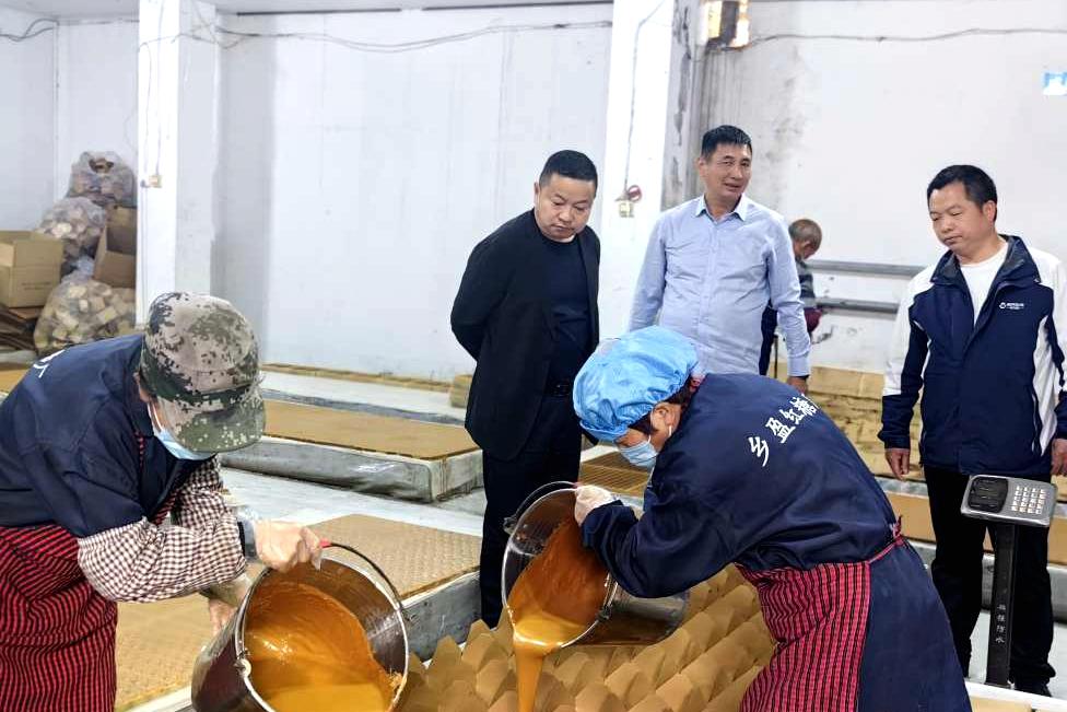 石蟆镇人大：搭台问计聚民智 农文旅融合促发展3