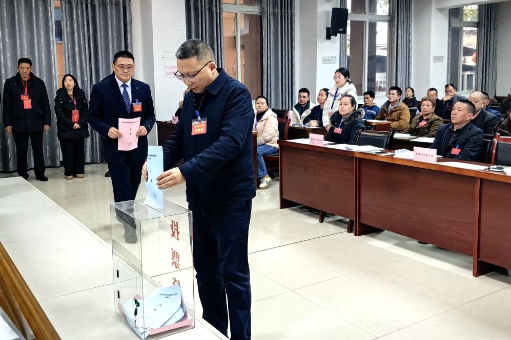 柏林镇召开第五届人民代表大会第十一次会议2