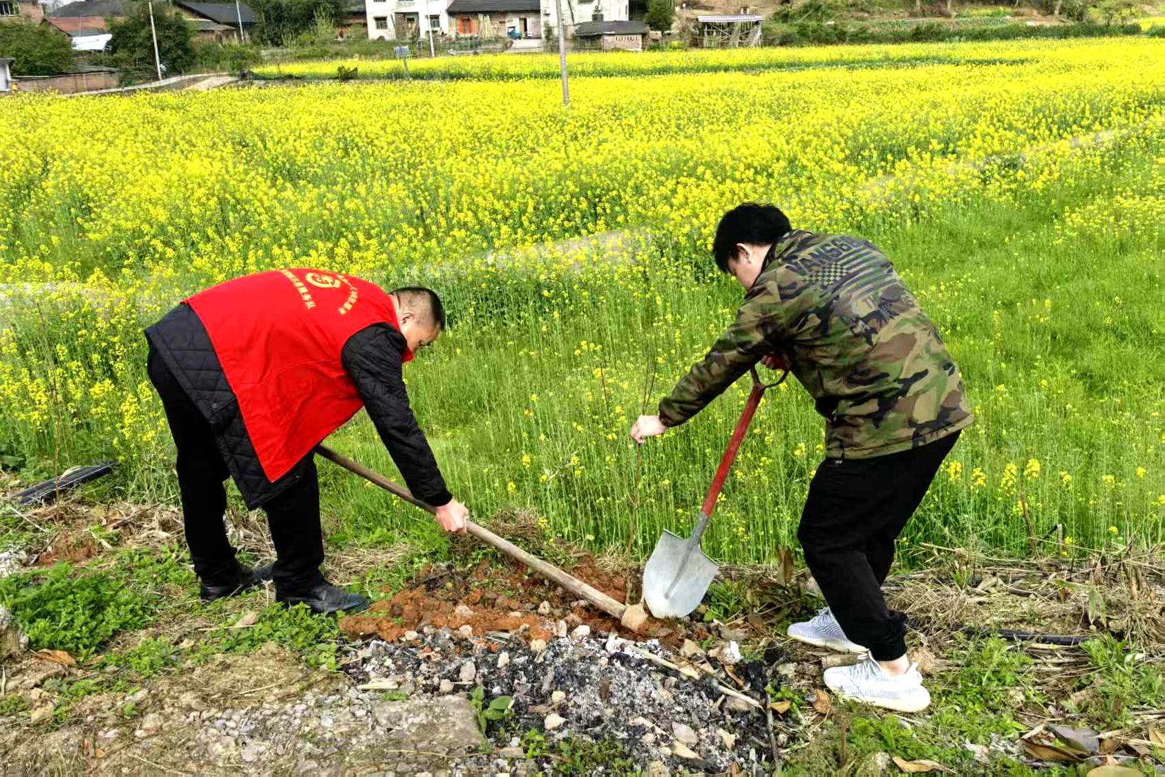 西湖镇人大：履职尽责聚合力 共建共治美家园2