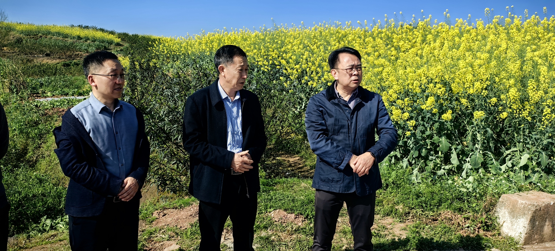 2026.03.04邹调研德感2