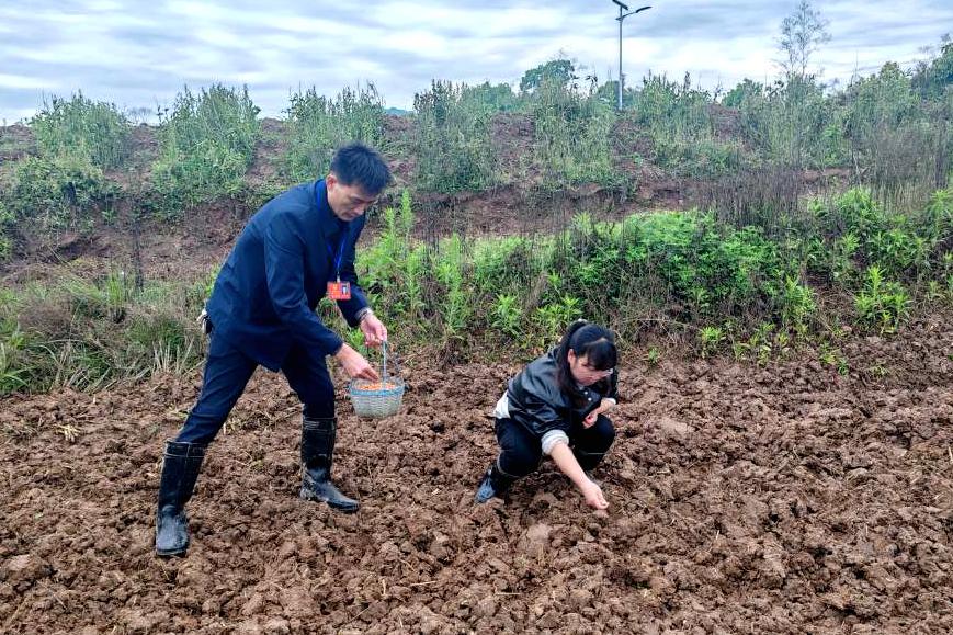 白沙镇人大：荒地变良田 履职促复耕