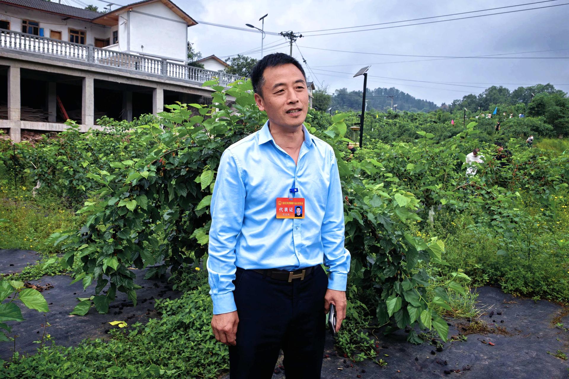 贾嗣镇人大：代表履职在田间 桑葚铺就致富路2