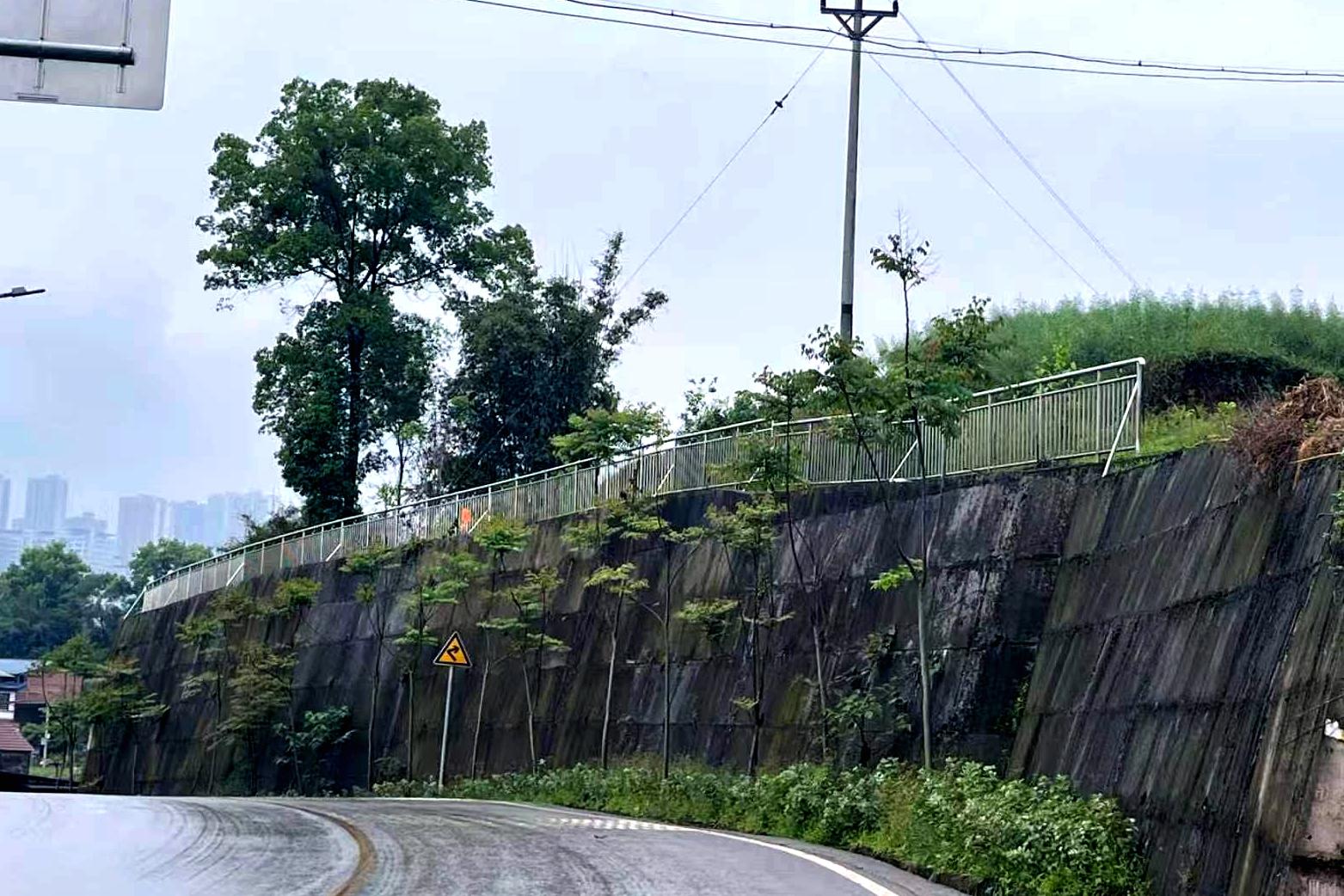 群众下单 代表接单!白沙镇这135米护栏“长”得漂亮又安全2