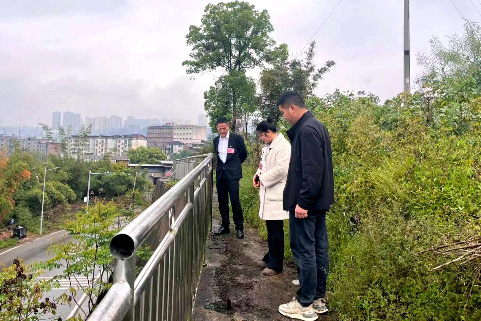 群众下单 代表接单!白沙镇这135米护栏“长”得漂亮又安全1