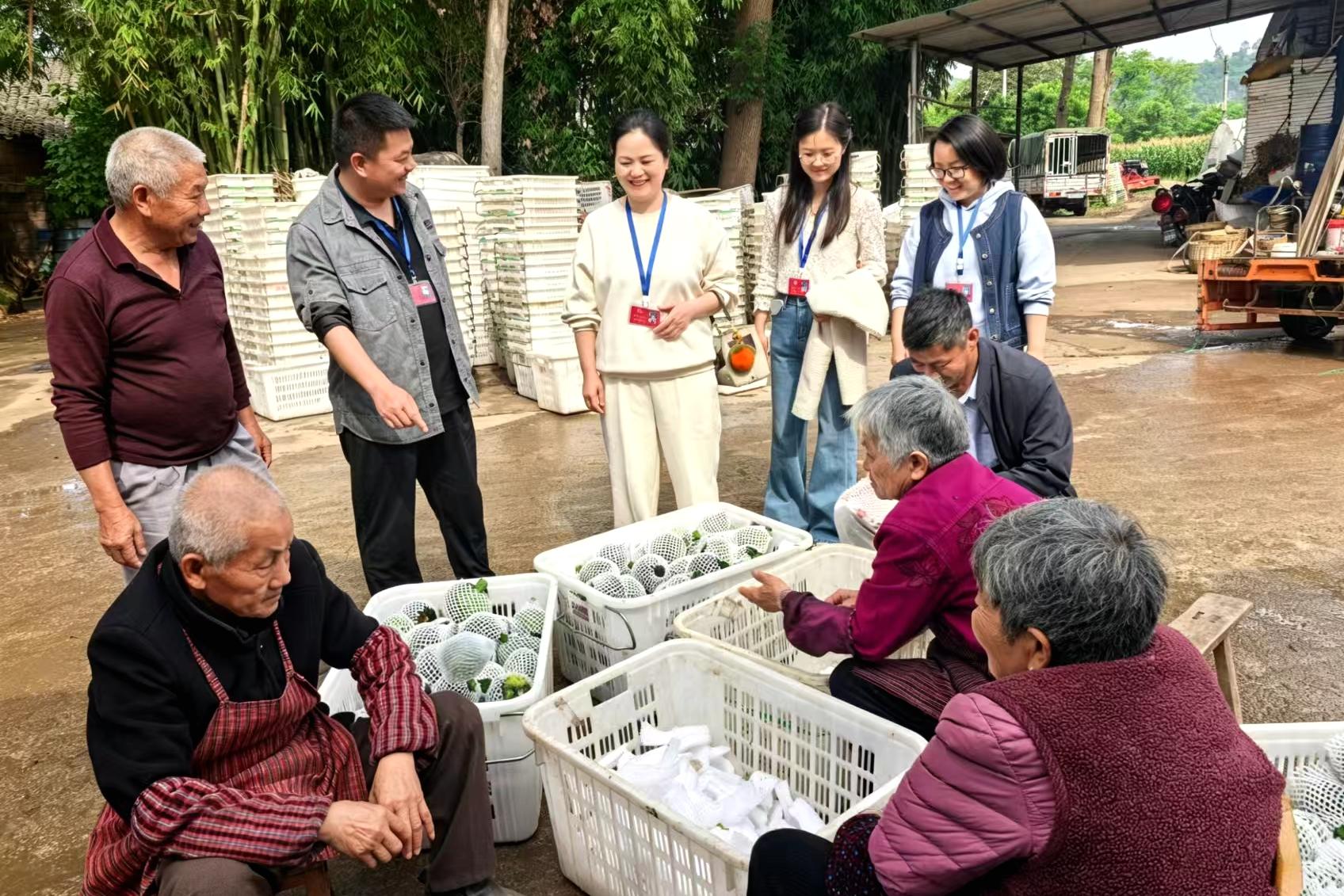 4第六代表小组代表与佳硒农场务工人员了解就业情况