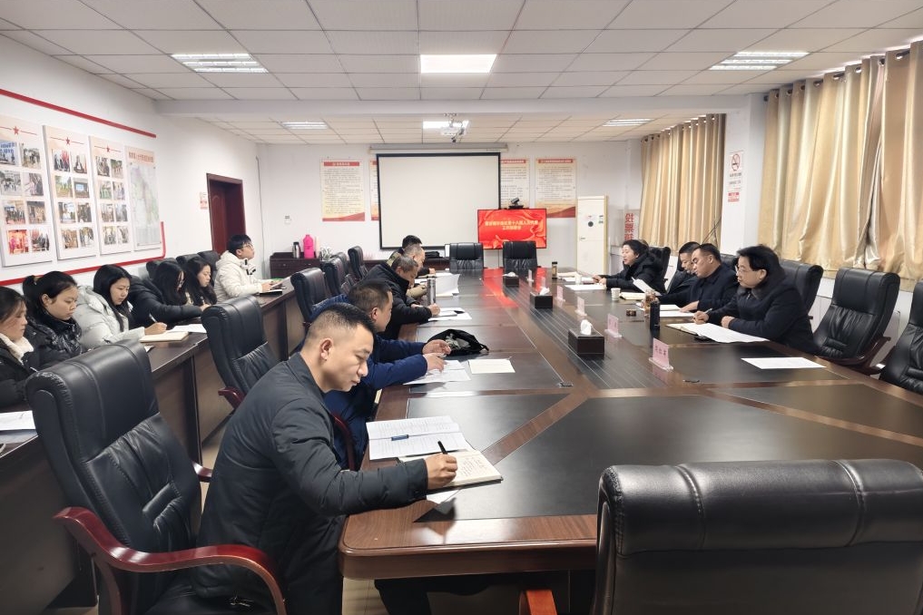 蔡家镇召开区十八届人大代表补选工作动员部署会.docx